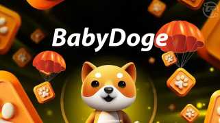 BabyDoge 透過推出 BNB-Bridge 擴展到 Solana