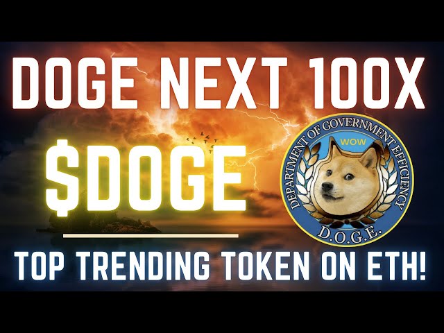 總督 |政府效率部以太坊上的 $DOGE #1 代幣！