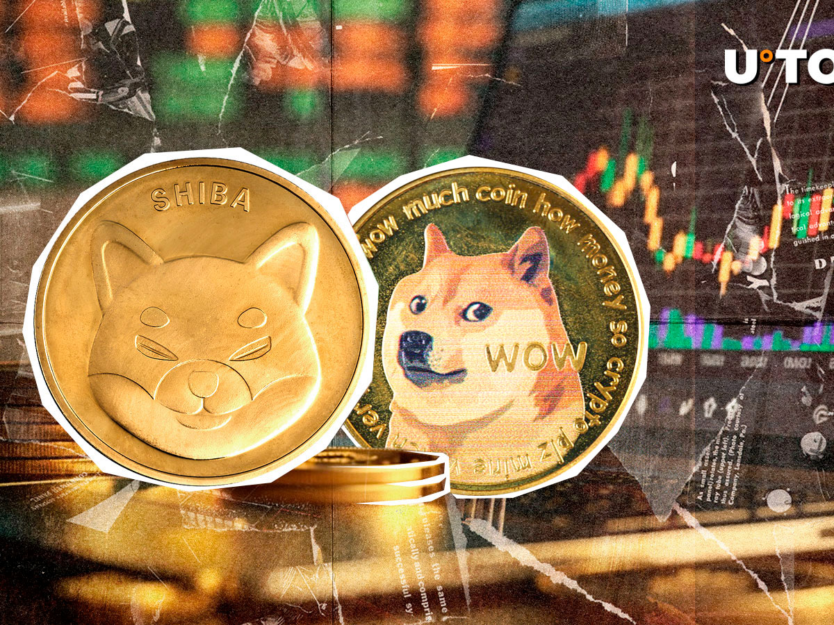 SHIB 與 DOGE：Shiba Inu 價格暴漲 20% 縮小差距