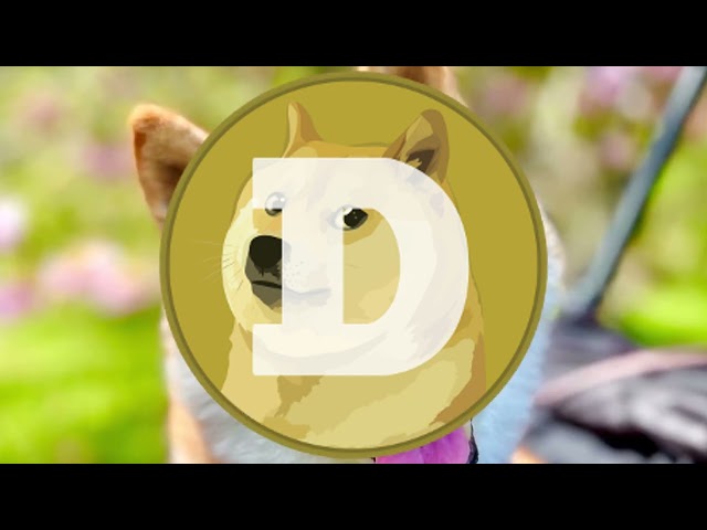 L'histoire du doge | Pièce de monnaie Doge | Cryptographie | Elon Musk et Doge