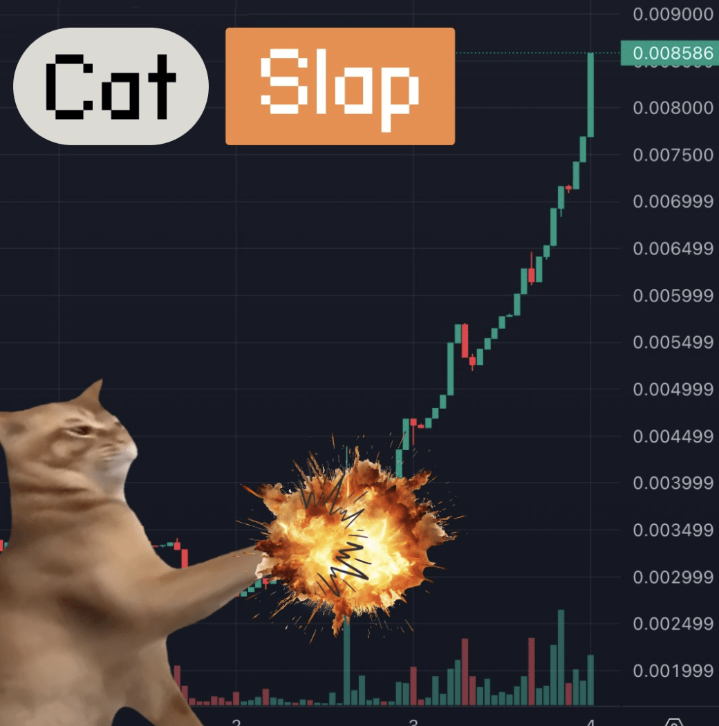 仮想通貨価格が再び上昇、専門家はCatslap、CAT、Popcatに注目