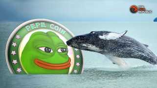 PEPE Whales Continue Accumulation: Can The Meme Coin Breach Its ATH?