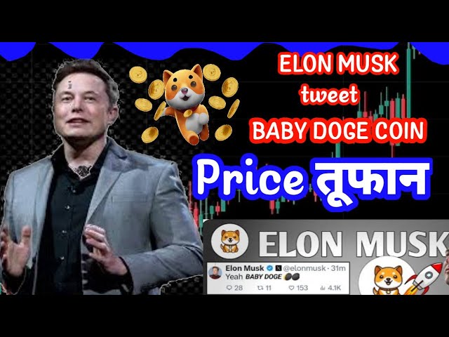 🔥📈 BABY DOGE COIN NEWS TODAY|BABY DOGE COIN PRICE PREDICTION|BABY DOGE COIN NEWS|Crypto News Uncut