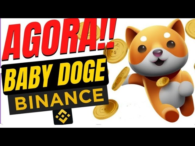 BABY DOGE COIN - FLYING!!!   MORE THAN 70% INCREASE!!