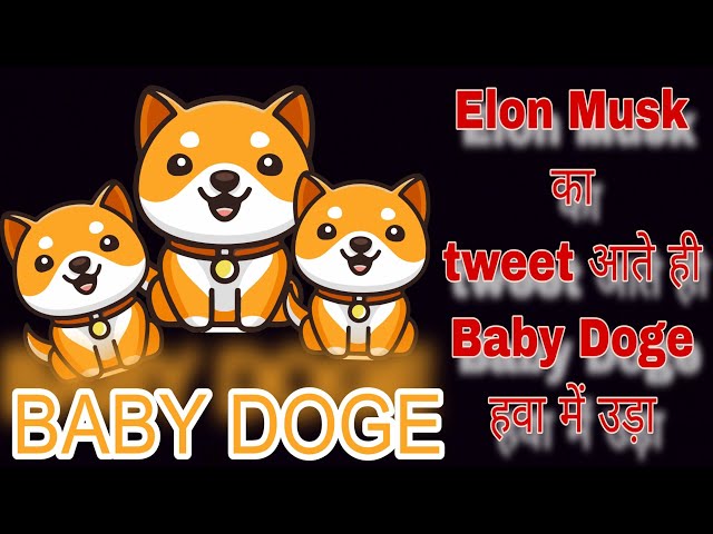 Baby Doge Coin Big pump after Elon musk tweet