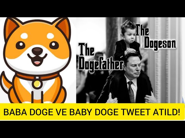 ELON MUSK TWEETTED BABY DOGE COIN KICKUP! 🚀 BABY DOGE LATEST DEVELOPMENTS? WILL THE RISE CONTINUE?