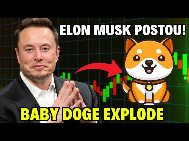 BABY DOGE EXPLODING AFTER ELON MUSK'S PUBLICATION - How far will this appreciation go?