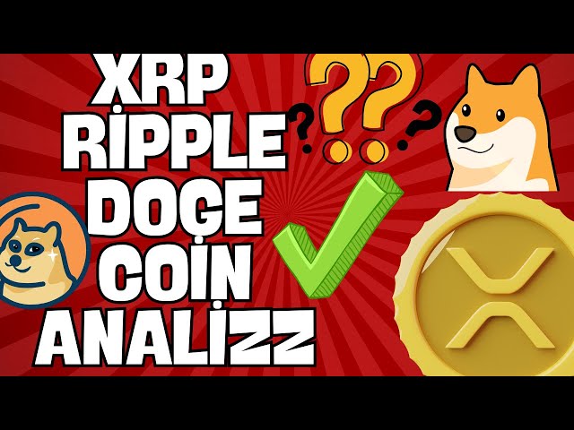 XRP RIPPLE ANALYSIS --- DOGE COIN ANALYSIS CRITICAL SHARING #adpanel #XRP #ripple #doge