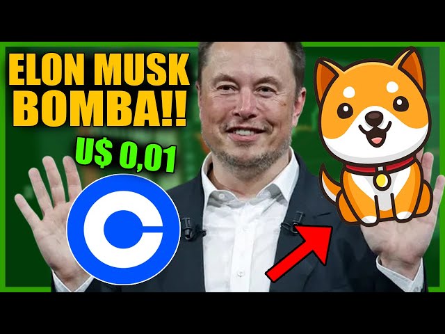 BABY DOGE URGENT! ELON MUSK WILL MAKE THE BIGGEST HISTORICAL HIGH OF BABY DOGECOIN - CRYPTOCURRENCY IN VALUE