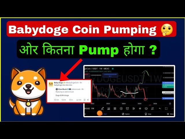 🔴Babydoge Coin Pumping 🔥 Baby doge News | Price Prediction in hindi |  Cryptocurrency | Sagar Ocs ||