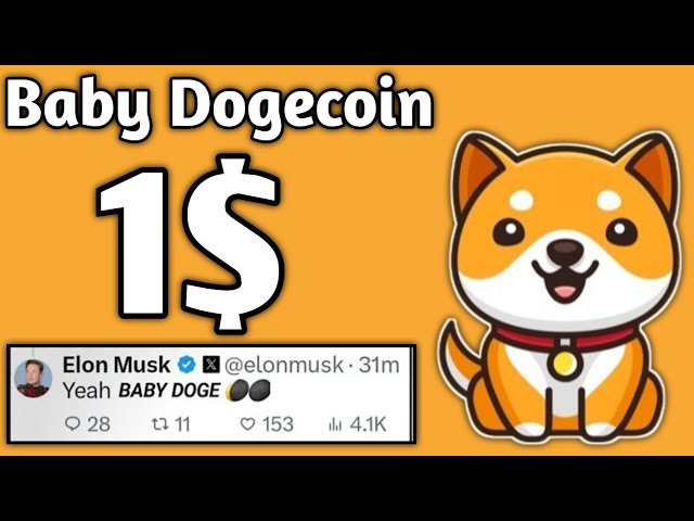 Baby Doge Coin new Today || Babydoge Coin price prediction || Babydoge coin New updates