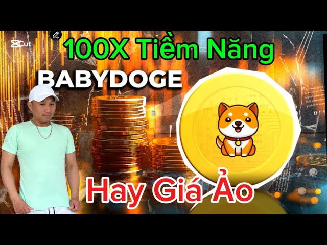 BABY DOGE COIN Should You Buy Or Sell