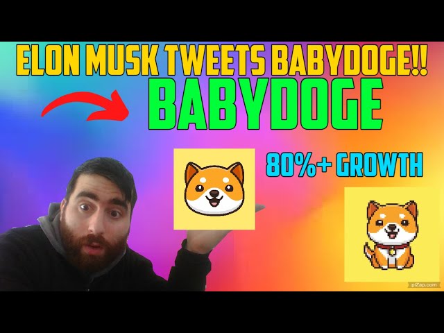 Babydge Meme Coin Set to make People Rich! Elon musk Tweet Explodes babydoge!