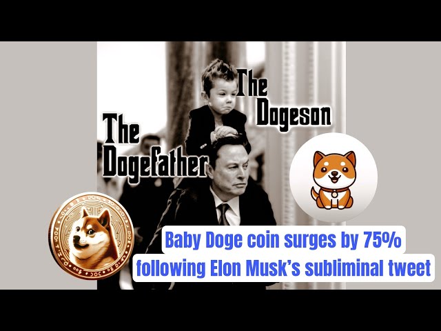 Baby Doge coin surges by 75% following Elon Musk’s subliminal tweet | #babydoge