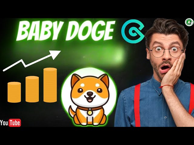 WILL BABY DOGECOIN GO EVEN FURTHER?