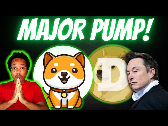 BABY DOGE IS PUMPING MASSIVELY | PREPARE FOR WHATS NEXT