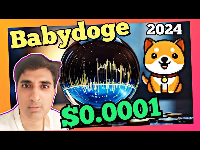 Will BabyDoge Coin Reach🚀 $0.0001 in 2024?| BabyDoge Coin Price Prediction| BabyDoge Coin News