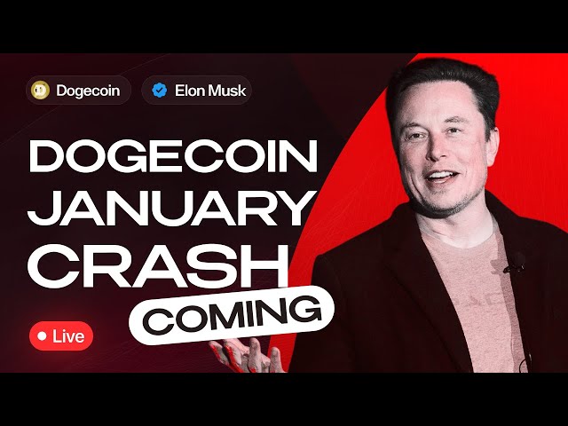 LIVE: Elon Musk's Dogecoin Update & DOGE Price Predictions