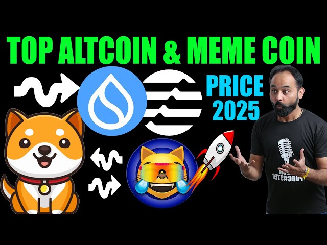 SUI Takes on Aptos Which Cryptocurrency Reigns Supreme? | Baby Dogecoin | Mog coin | Rajeev Anand