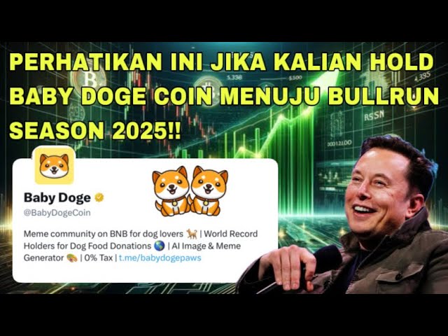 PAY ATTENTION TO THIS IF YOU HOLD BABY DOGE COIN TOWARDS BULLRUN SEASON 2025!!