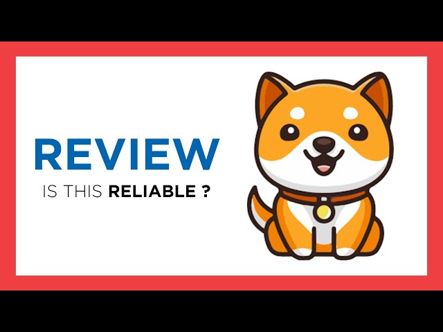 BABY DOGE COIN (BABYDOGE) : Review in 2024 (Token, Staking, News, Crypto, Airdrop, Price prediction)