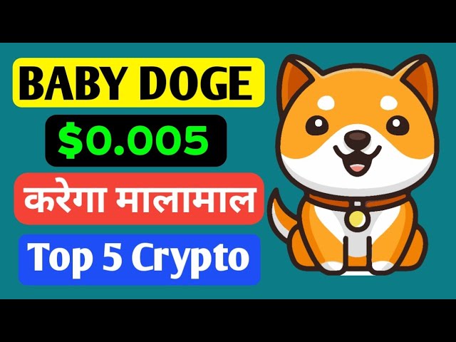 Baby doge coin will create history by crossing $0.005. All Information BTC