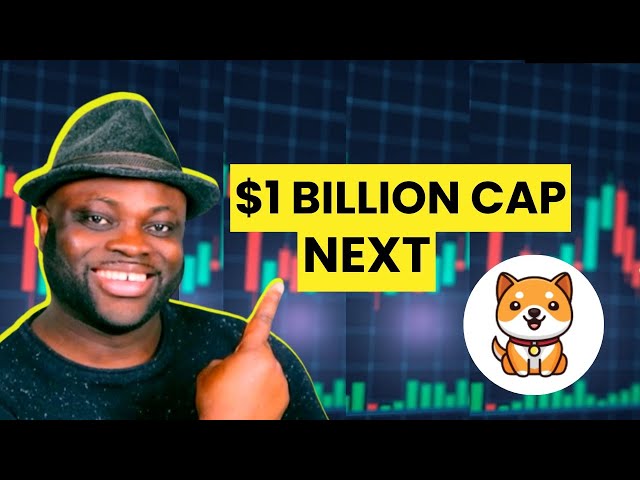 Baby Doge Coin To HIT $1 BILLION Marketcap In 2024