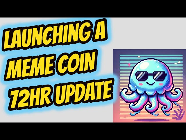 How Much Did I Make Launching a MEME Coin?