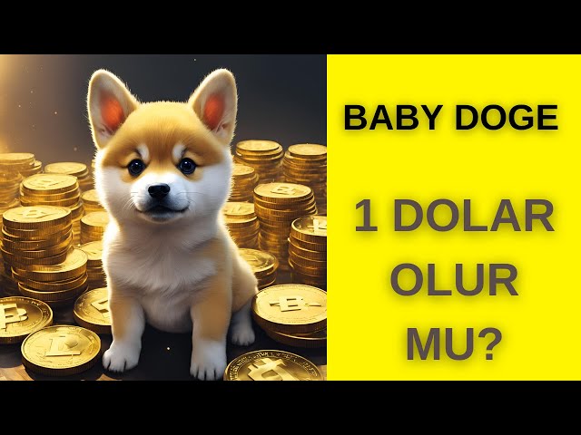 Will the NEW SHIBA Baby Doge Coin Become 1 DOLLAR? | Coins that make 100X are first released in MEXC!