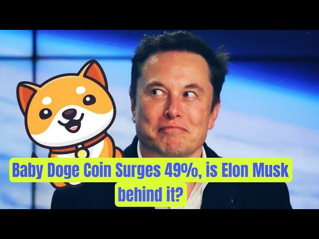 Baby Doge Coin Surges 49%, is Elon Musk behind it? #babydoge