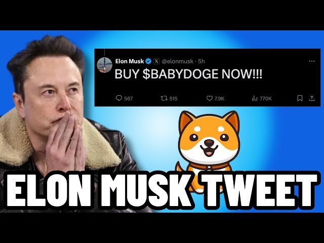 BABY DOGE COIN IS PUMPING! ELON MUSK JUST TWEETED ABOUT BABYDOGE COIN!!