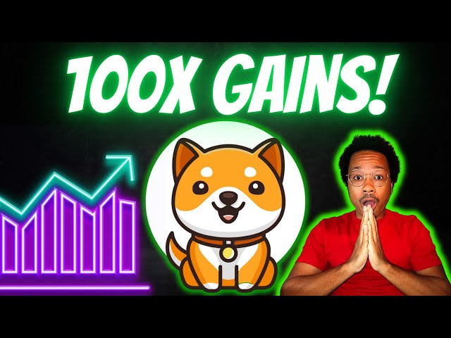 BABY DOGE NEW ALL TIME HIGH INCOMING! ANOTHER MASSIVE PUMP!