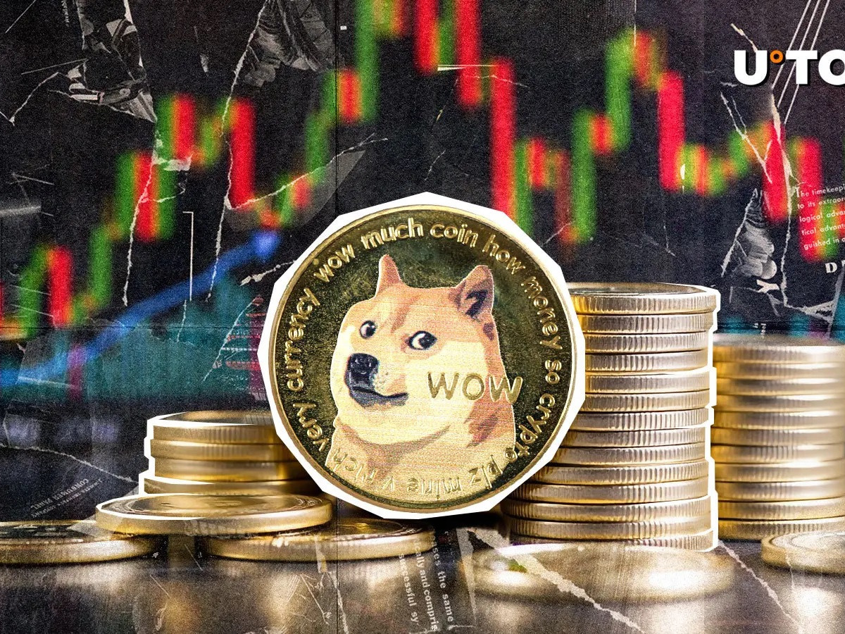 112 millions de DOGE en mouvement – ​​Qu’est-ce qui est à l’origine de cette augmentation ?