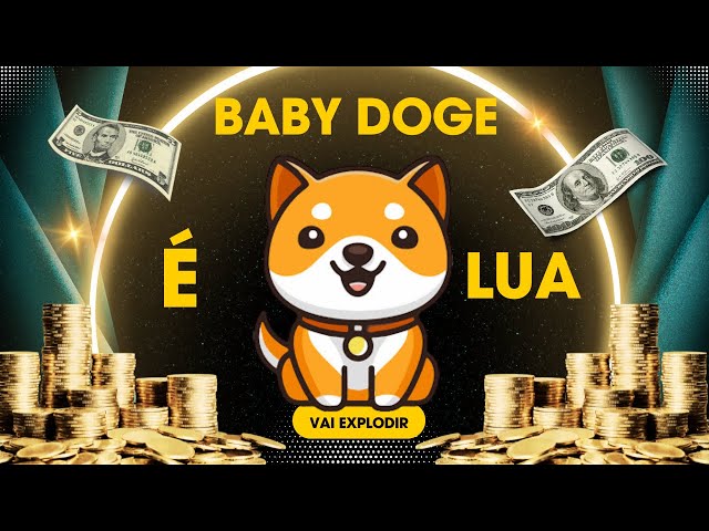 BABY DOGE COIN - THE BEST MEMECOIN OF THE MOMENT - COULD GO UP MORE THAN 2,000% (20X)