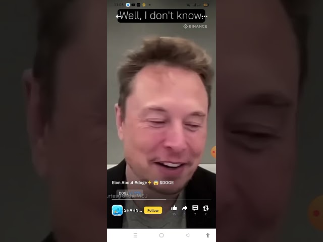 doge coin sapot in Elon musk