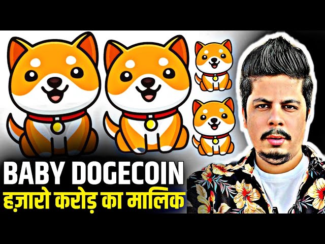 Baby Dogecoin owner of thousands of crores. Breaking all records