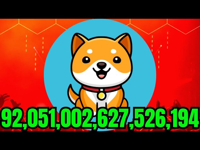 BABY DOGE IS ABOUT TO SHOCK THE WORLD 92,051,002,627,526,194