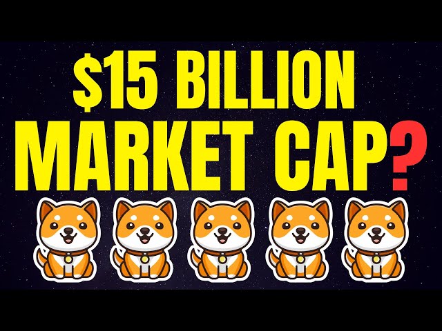 BABY DOGE COIN: CAN IT STILL REACH A $15 BILLION MARKET CAP!? | Baby Doge Coin Price Prediction