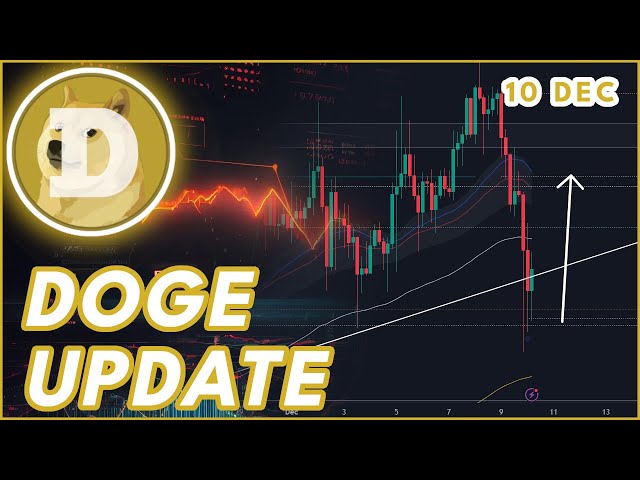 WILL DOGE RALLY AGAIN NOW?🔥 | DOGECOIN (DOGE) PRICE PREDICTION & NEWS 2024!