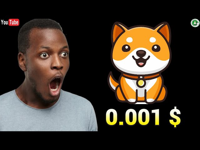 BABY DOGECOIN WILL BURN 2 OR 4 ZEROS?