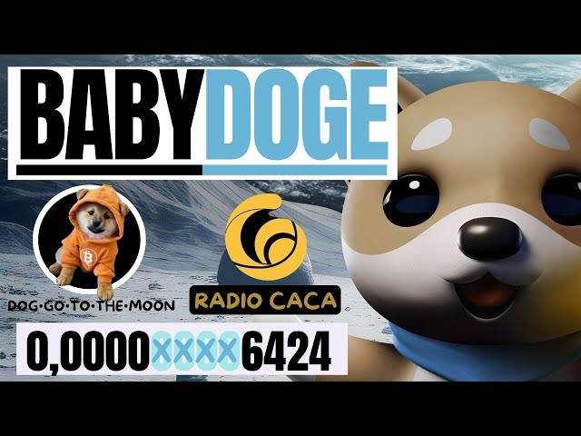 🔥BABY DOGE COIN // ZERO CUT IS SOON THERE + DOG GO TO THE MOON + RADIO CACA E VITA INU🔥#babydoge