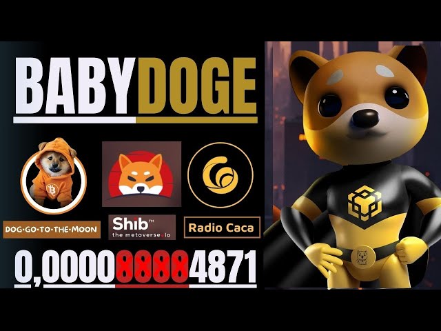 🔥BABY DOGE COIN // SHIBA INU + DOG GO TO THE MOON E RADIO CACA🔥#babydoge #shibainucoin