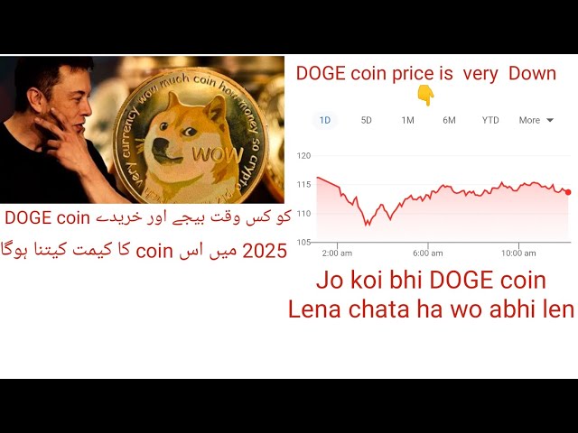 DOGE coin price is very down! 1 December hits 5$ one DOGE coin #dogecoin #dogecoinarmy #elonmusk