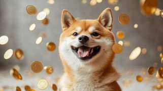 Dogecoin Bulls는 Sui에서 지분을 확보하기 시작했으며 새로운 Meme 코인은 뜨겁습니다.