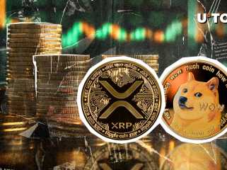 XRP 및 Dogecoin(DOGE)은 여전히 ​​낙관적입니다: 주요 지표 표시