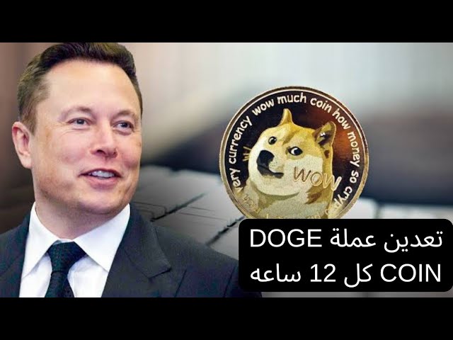 ✅ Doge coin mining - a new Telegram bot still in the beginning, so don’t miss out on mining every 12 hours 🔥