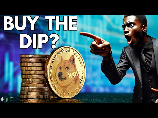 Dogecoin Price Crash!!! Doge Crypto Plunges 15%!!! What Now? Doge Coin Price News Now