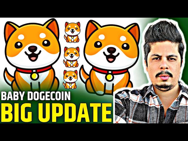 Baby Dogecoin Big Update