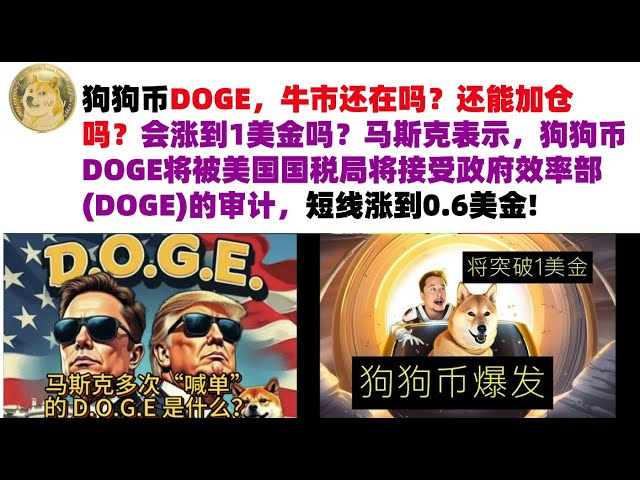 Dogecoin DOGE, is the bull market still there? Can I still add to my position? Will it rise to $1? Musk said that Dogecoin DOGE will be audited by the US Internal Revenue Service and will be audited by the Department of Government Efficiency (DOGE), and i