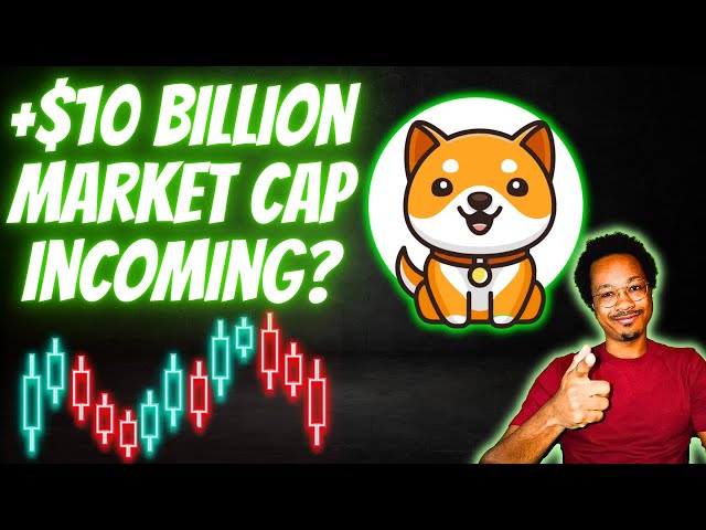 How BABY DOGE Will Become a TOP 10 CRYPTO Memecoin